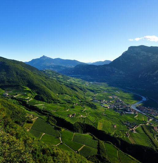 Un\'immagine della Piana Rotaliana